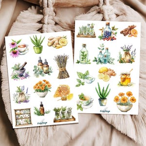 Sticker Set Heilkräuter Naturheilmittel