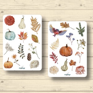Sticker Set Herbst Kürbis Vogel Tannenzapfen Zweige Farn, Aufkleber Planner Stickers, cute Scrapbooking Stickers