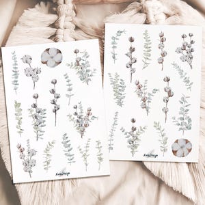 Set d'autocollants eucalyptus et coton