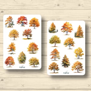 Conjunto de adesivos árvores de outono folhas de outono natureza colorida plantas florestais, adesivos planejador, adesivos fofos para scrapbooking