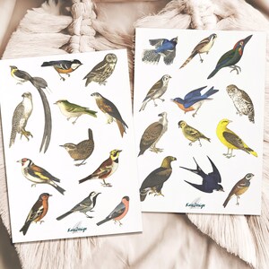 Sticker Set Vögel vintage