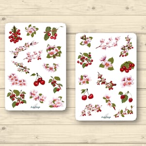 Set di adesivi ciliegie e fiori di ciliegio