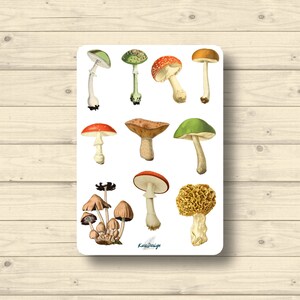 Sticker Blatt Pilze Waldpilze vintage Herbst, Aufkleber Planner Stickers, Scrapbook Stickers
