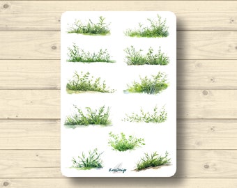 Sticker leaf grass tuft of grass