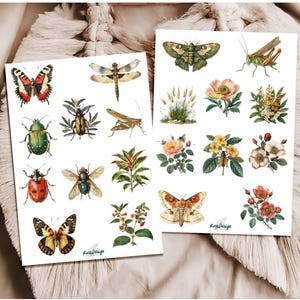 Sticker Set Insekten und Pflanzen vintage