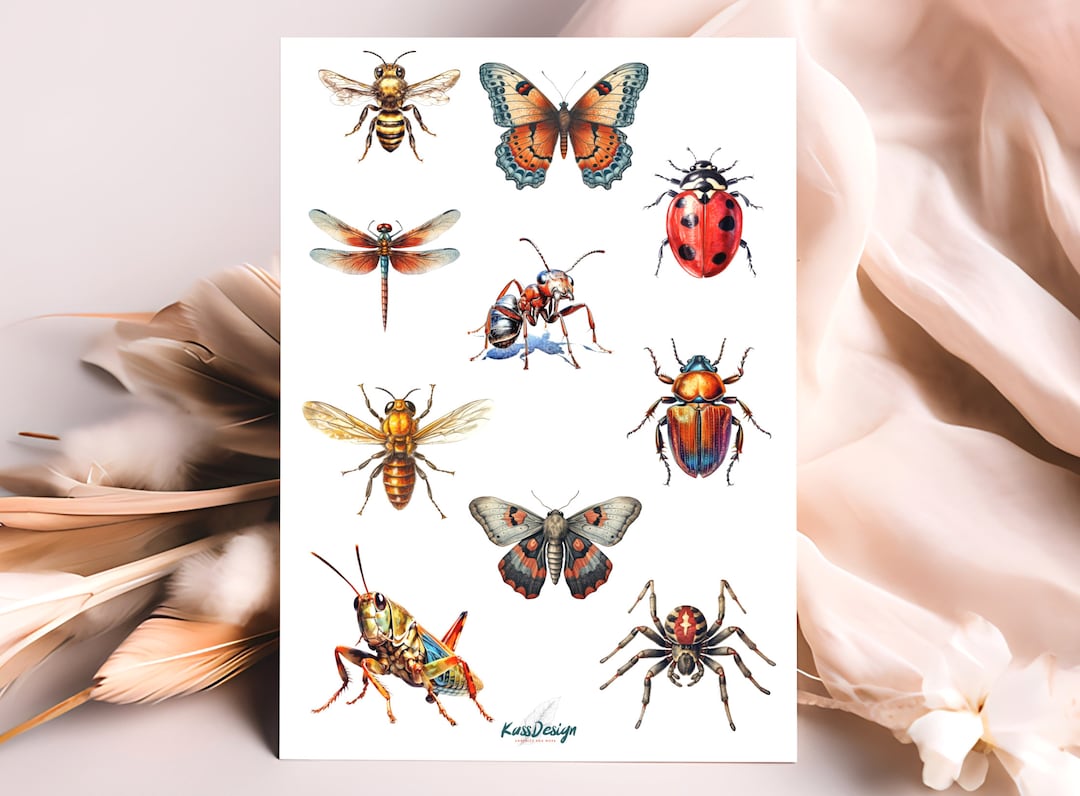 Printable Insect Sticker Sheet Sticker Sheet Insects - Etsy