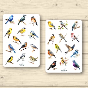 Sticker Set Singvögel