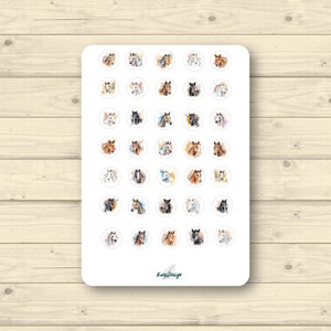 Sticker Blatt Pferde Mini-Sticker rund