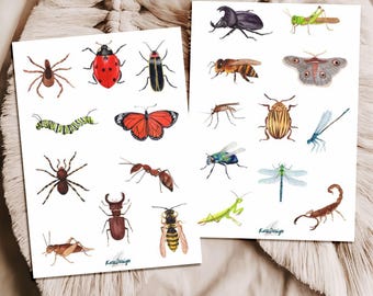 Insect Sticker Set – 2 sheets with watercolor beetles, dragonflies, butterflies, ladybugs, bees & nature motifs