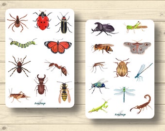Sticker set, insects, bugs, caterpillar, stickers Planner Stickers, cute scrapbooking stickers