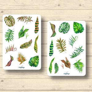 Ensemble d'autocollants plantes tropicales, feuilles