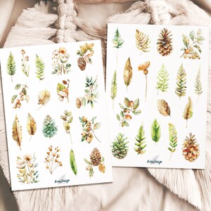 Set d'autocollants plantes forestières fougères cônes
