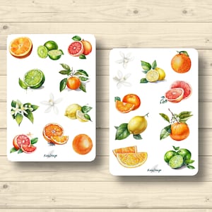 Sticker Set Zitrusfrüchte