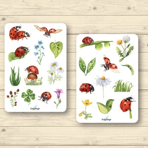 Sticker Set Marienkäfer