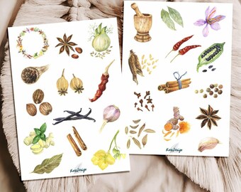 Spice Sticker Set Watercolor – Herbs, Cinnamon, Chili, Vanilla, Garlic & Spice Wreath, Vintage Kitchen Stickers