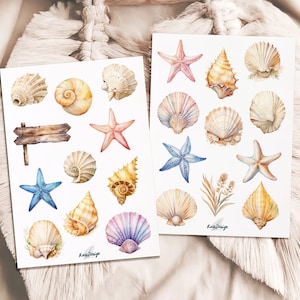 Set de pegatinas de conchas y estrellas de mar.