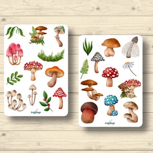 Ensemble d’autocollants champignons d’automne plantes forestières feuilles fougère nature, autocollants planificateur autocollants, autocollants scrapbooking mignons