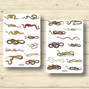 Conjunto de adesivos cobras víbora python adesivos planejador adesivos, adesivos de álbum de recortes