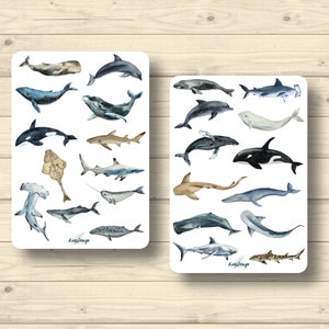 Sticker Set, Wale, Haie und Delfine, Aufkleber Planner Stickers, cute Scrapbooking Stickers