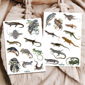 Sticker Set Eidechsen, Echsen