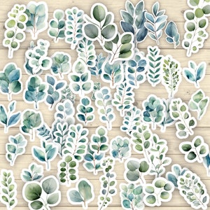 50 autocollants eucalyptus