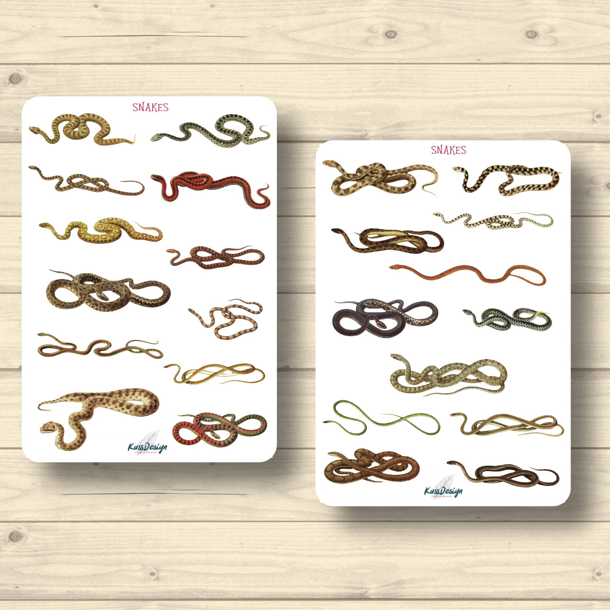 Sticker Set Snake Adder Viper Python Stickers Planner - Etsy UK