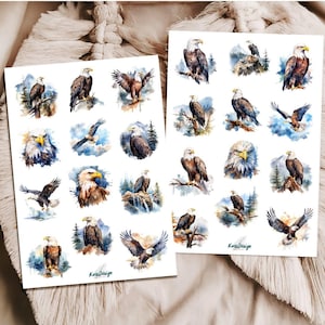 Sticker Set Adler, Weißkopfseeadler