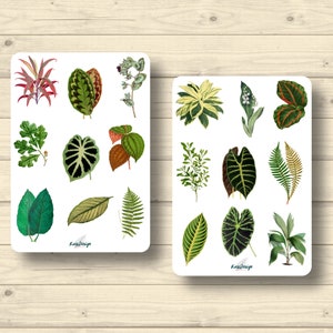 Sticker Set Blätter Laub Calathea Anthuria Zimmerpflanzen Natur Pflanzen, Aufkleber Planner Stickers, cute Scrapbooking Stickers