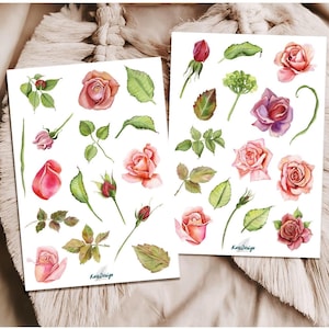 Set d'autocollants roses et pétales de roses