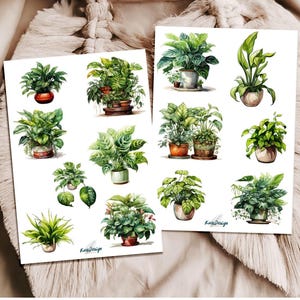Conjunto de pegatinas de plantas de interior, plantas verdes en macetas.