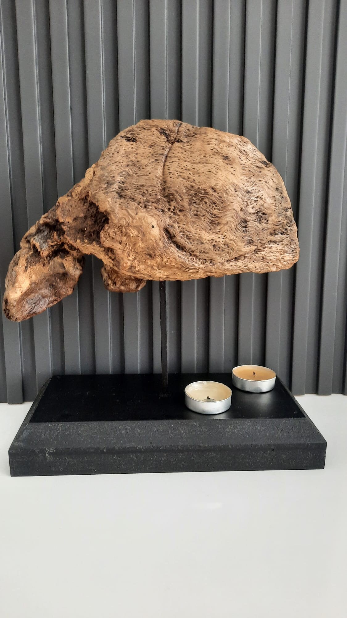 Organically Inspired Wood Sculpture Handcrafted Desktop Art Etsy