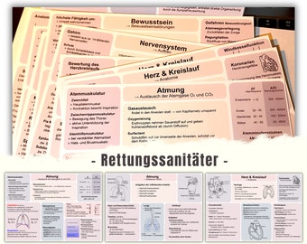 Rettungssanitäter Lernkarten Prüfungsvorbereitung RetSan Lernen Rettungsdienst