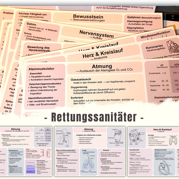 Rettungssanitäter Lernkarten Prüfungsvorbereitung RetSan Lernen Rettungsdienst