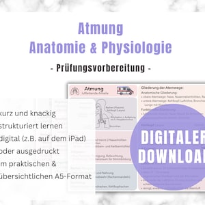 Respiration - anatomie et physiologie - fiches paramédicales - préparation aux examens RetSan learning services d'urgence - médecine