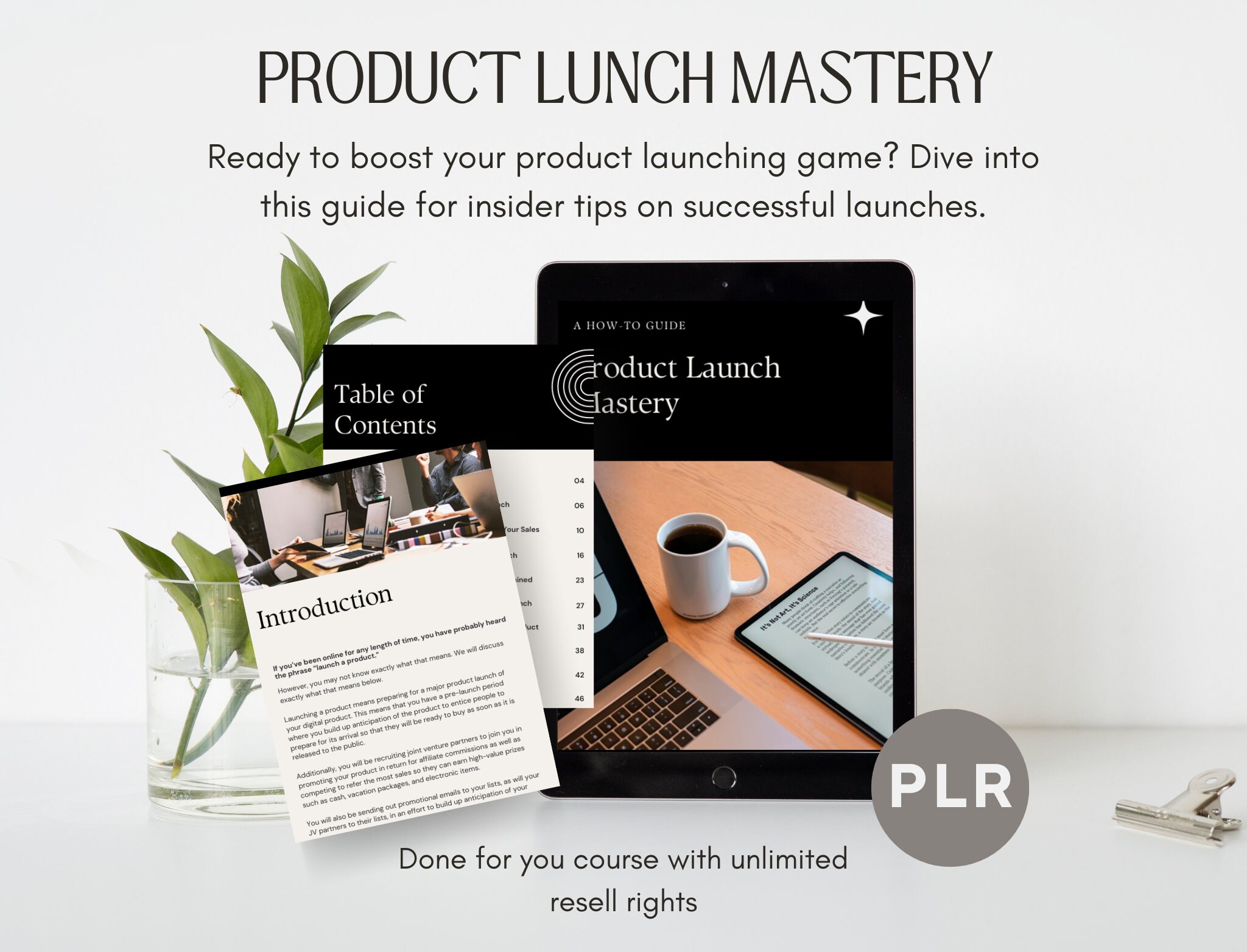 Product Lunch Mastery, learn the secrets to lunch your first digital product / ebook with resell rights and PLR/ dfy / canva template / MRR