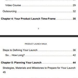 Product Launch Ninja - Mrr Ebooks - Plr Ebooks - Make Money Online ...