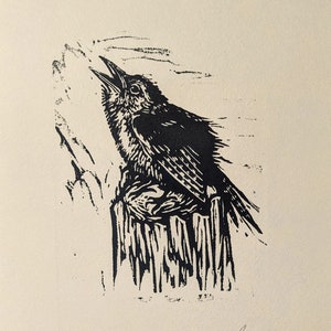 Singing Wren 9x7&quot; | lino block print