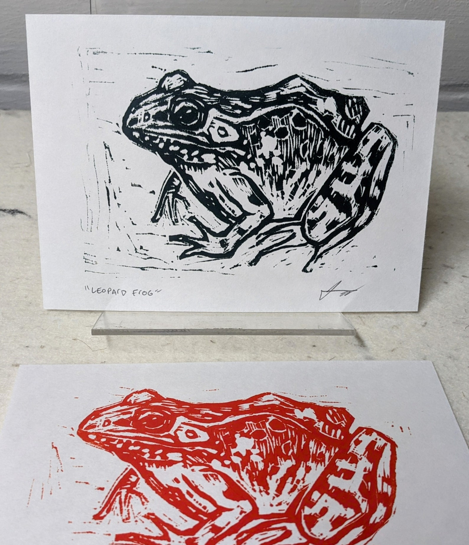 Leopard Frog - 5x7