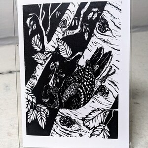 Carte vierge - « Pic et papillon de nuit »