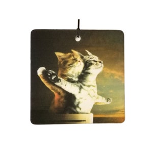 Ambientador para coche Titanic Kittens