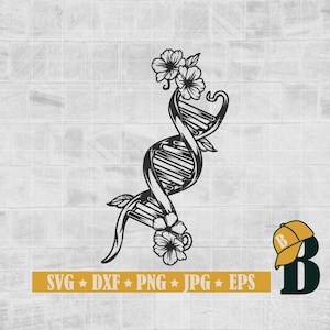 DNA molecule Svg Png, Genetic DNA Svg, Flower Dna Svg, Double helix Svg, Floral biology Svg, Medical clipart, Dna Svg File, Png Dxf Jpg Eps