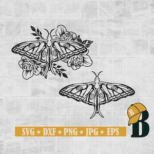 Floral Moth with Skull svg png, Flower Moth svg, Deaths Head Hawkmoth cut file, Floral Moth svg, Skull Moth, halloween, gothic, witchy, Png
