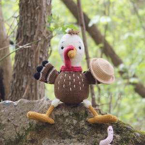 Crochet amigurumi pattern turkey and worm PDF ENGLISH pattern Crochet turkey crochet animal crochet turkey pattern amigurumi turkey image 3