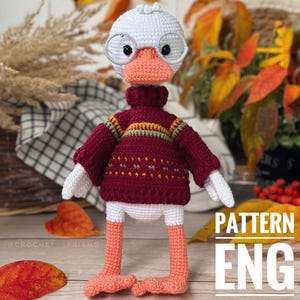 Amigurumi crochet pattern goose in a sweater PDF English pattern cute goose in hat