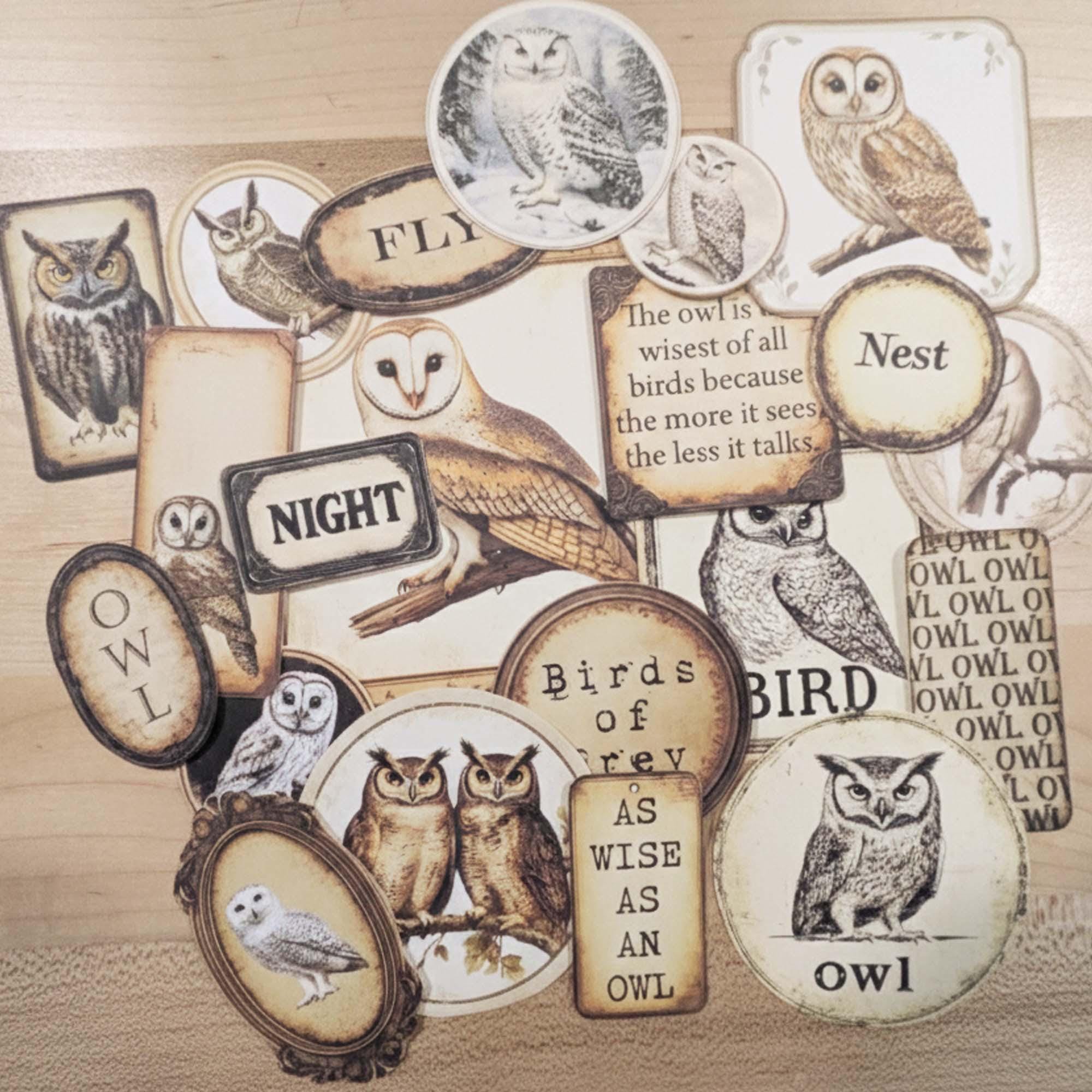 Vintage-Style Owl Ephemera: Junk Journal, Cardstock Scrapbook Collage Scraps, Antique Grunge Bird, B