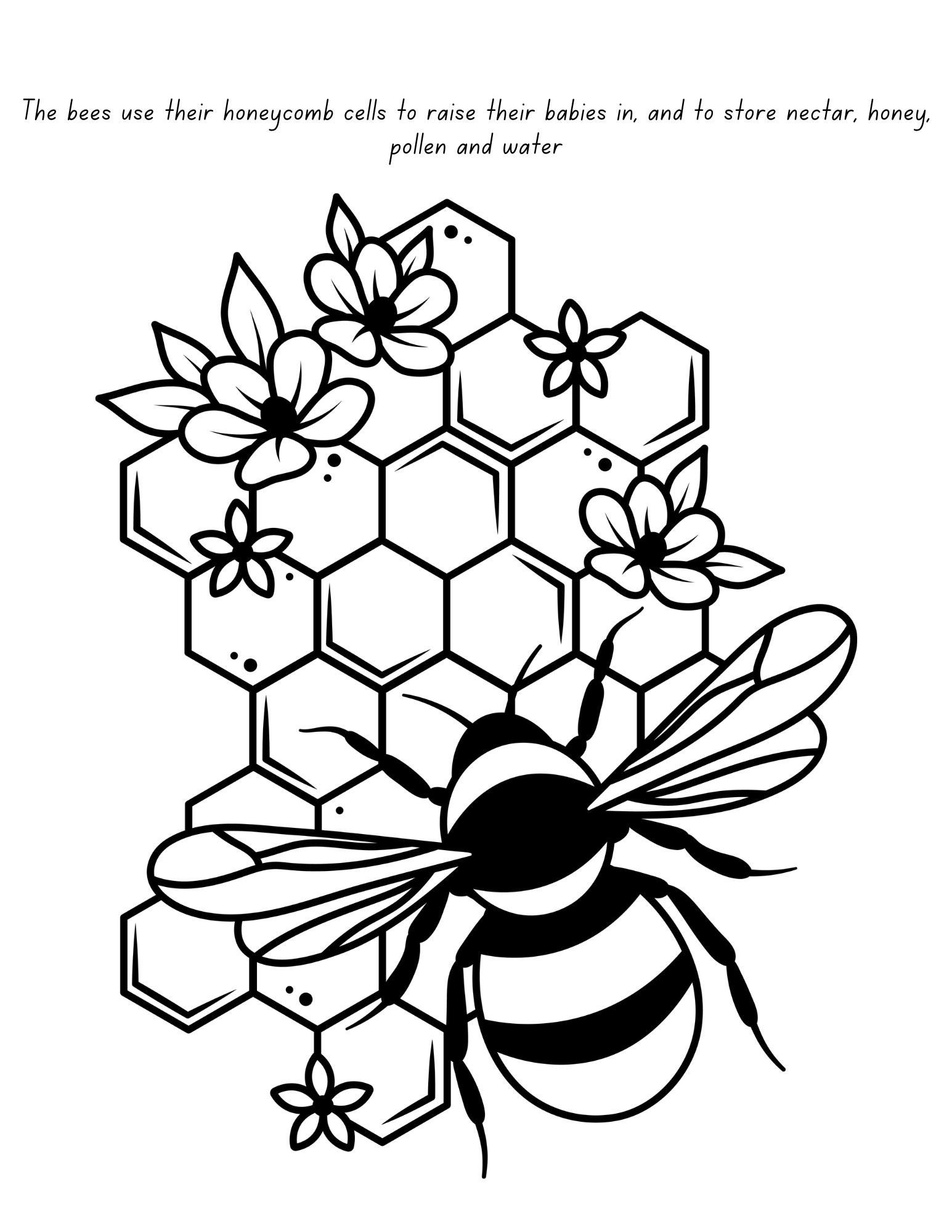 coloring-pages-digital-download-instant-download-printable-honey-bee-bee-pollinators-for