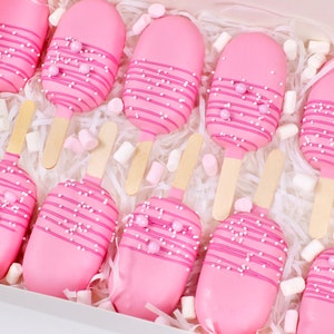 100 Stk. Cakesiclestiele | Eisstiele | Popsicle