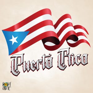Puerto Rico PNG, Sublimation Design, Instant Download PNG, Digital Only, Boricua DTF png File, Puerto Rico Handmade Design, Modern Style