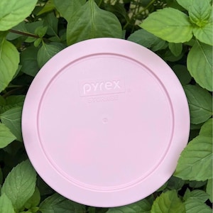 Puede incluir: Tapa rosa claro Pyrex Storage. La tapa redonda tiene un borde ligeramente elevado y el logotipo de Pyrex y el texto "STORAGE" en blanco. Sobre un fondo de hojas verdes.