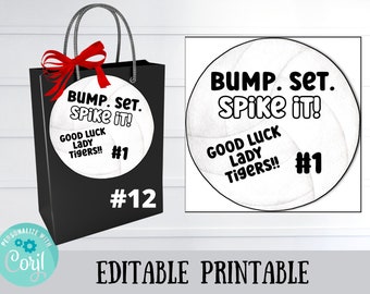 Pode incluir: Uma bola de voleibol branca e preta com o texto "Bump. Set. Spike it!" e "Good Luck Lady Tigers!! #1". A bola de voleibol está sobre um fundo branco. A imagem é para uma sacola de presente imprimível.